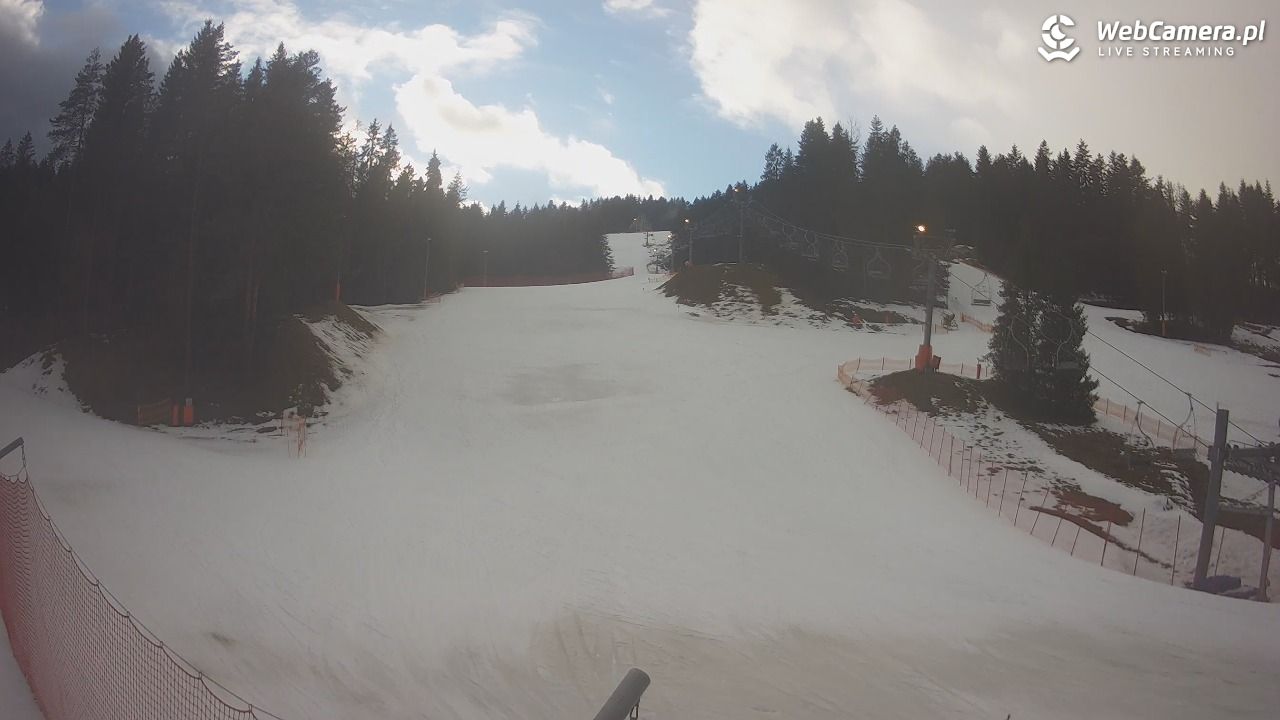 TYLICZ.ski - 24 luty 2026, 15:53