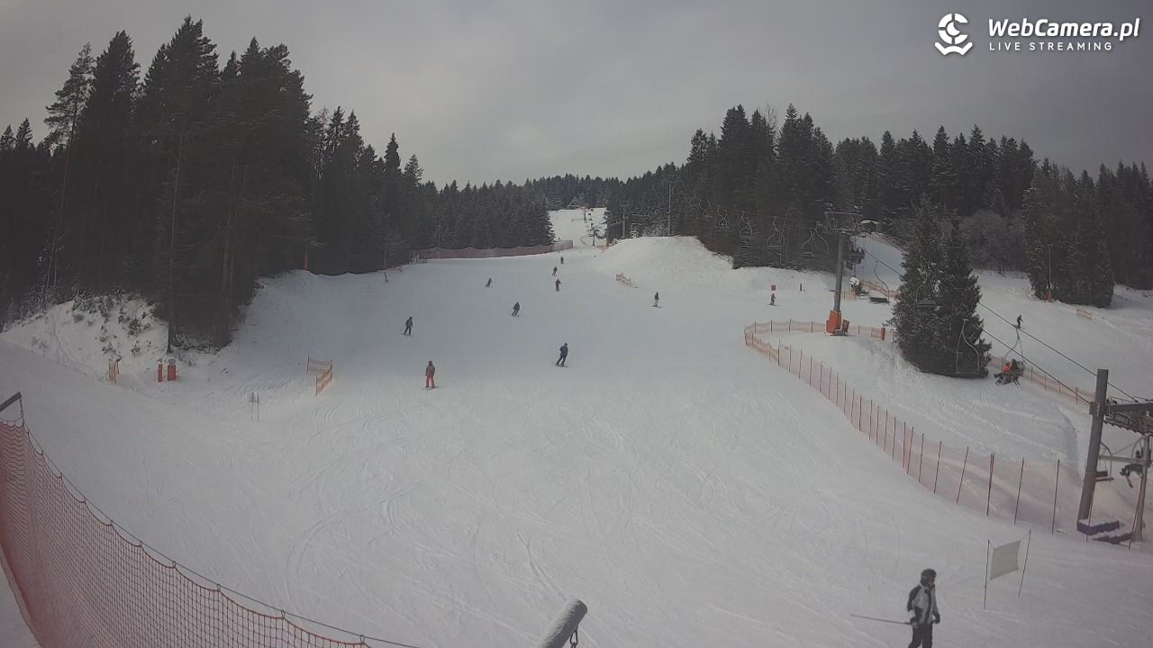 TYLICZ.ski - 06 styczeń 2026, 10:16