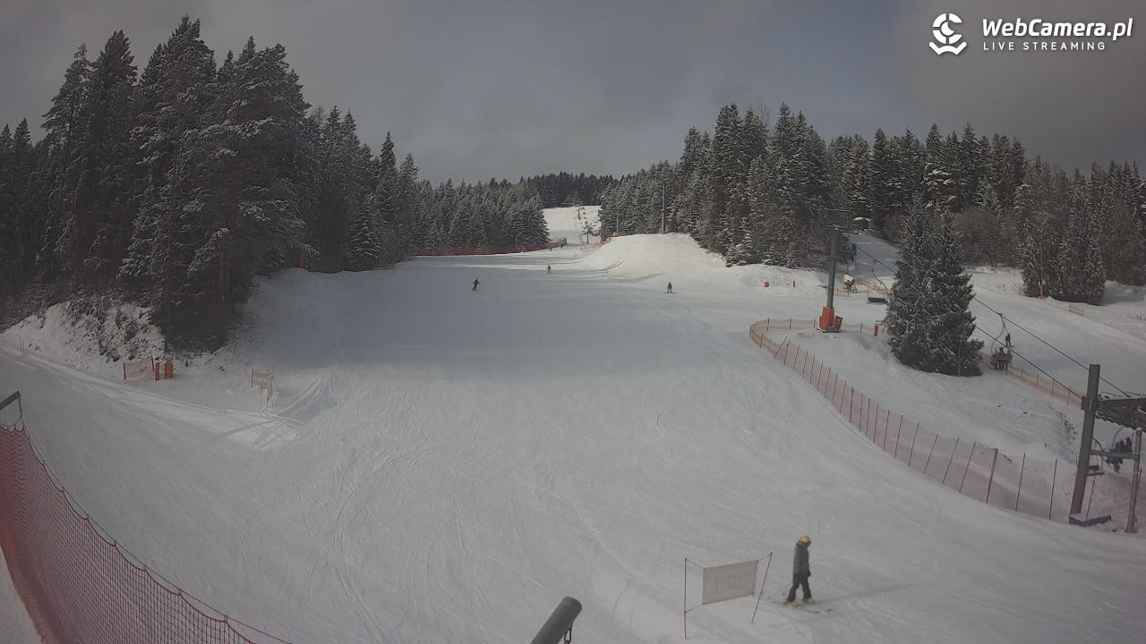 TYLICZ.ski - 19 luty 2026, 09:59