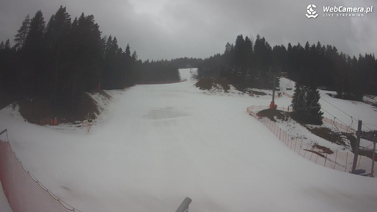 TYLICZ.ski - 24 luty 2026, 06:26