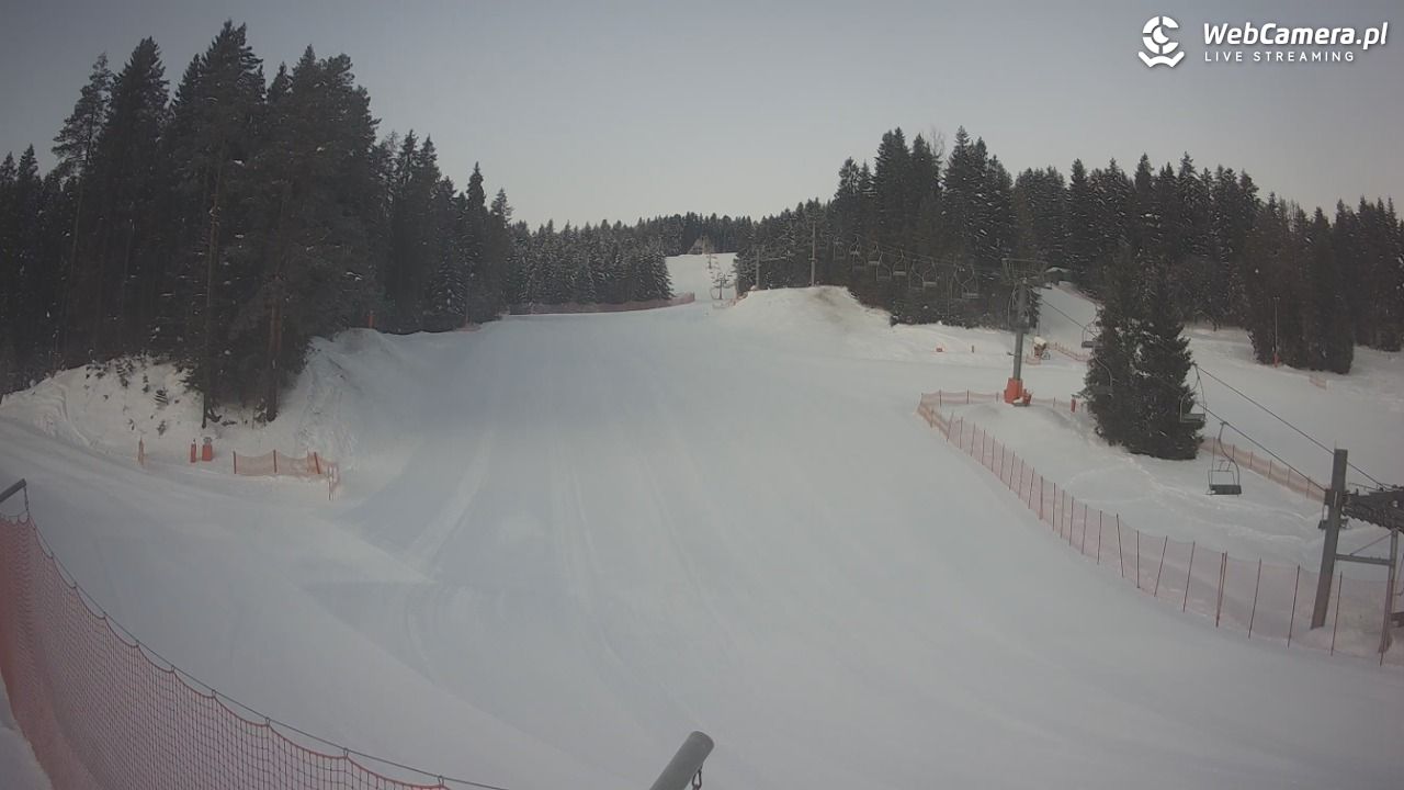 TYLICZ.ski - 19 styczeń 2026, 07:20
