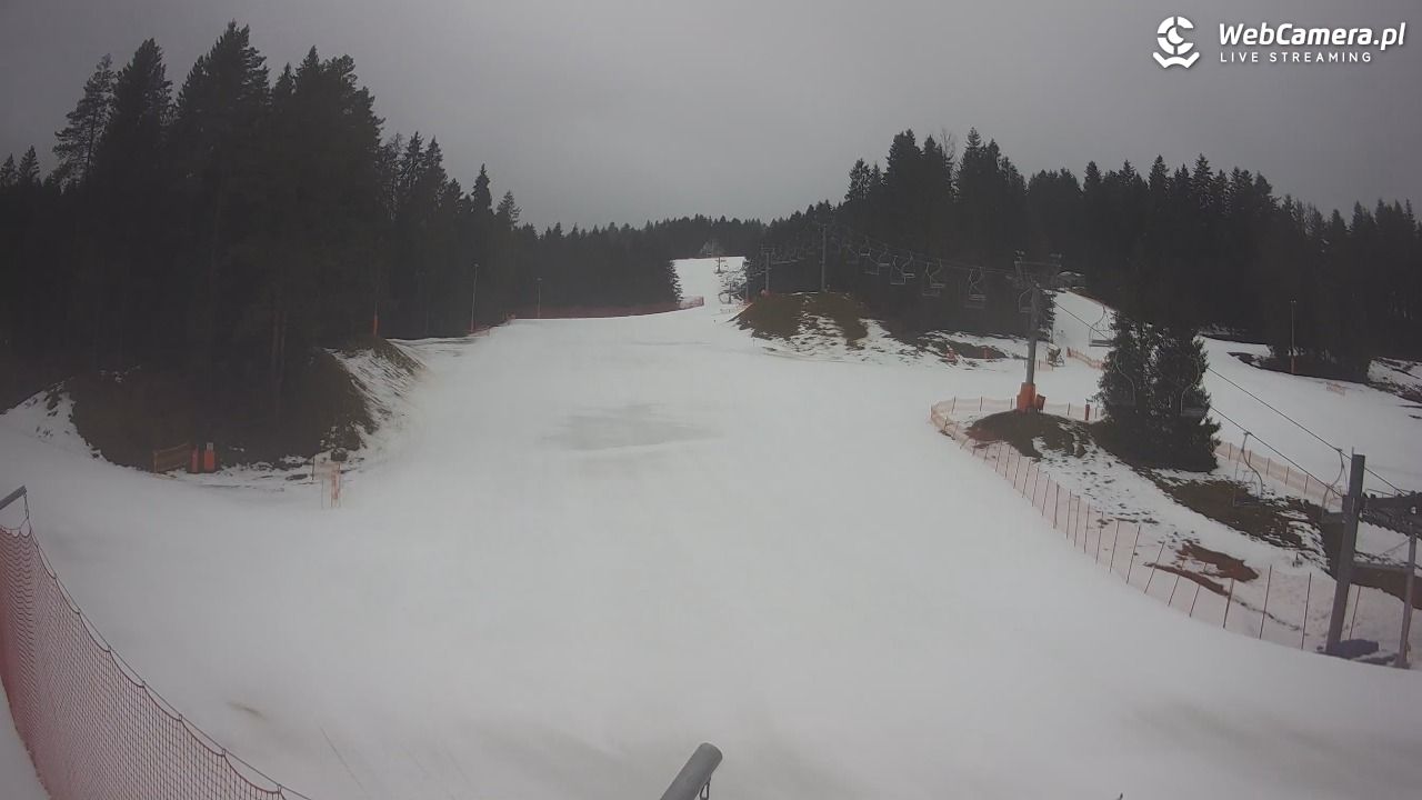 TYLICZ.ski - 24 luty 2026, 09:29