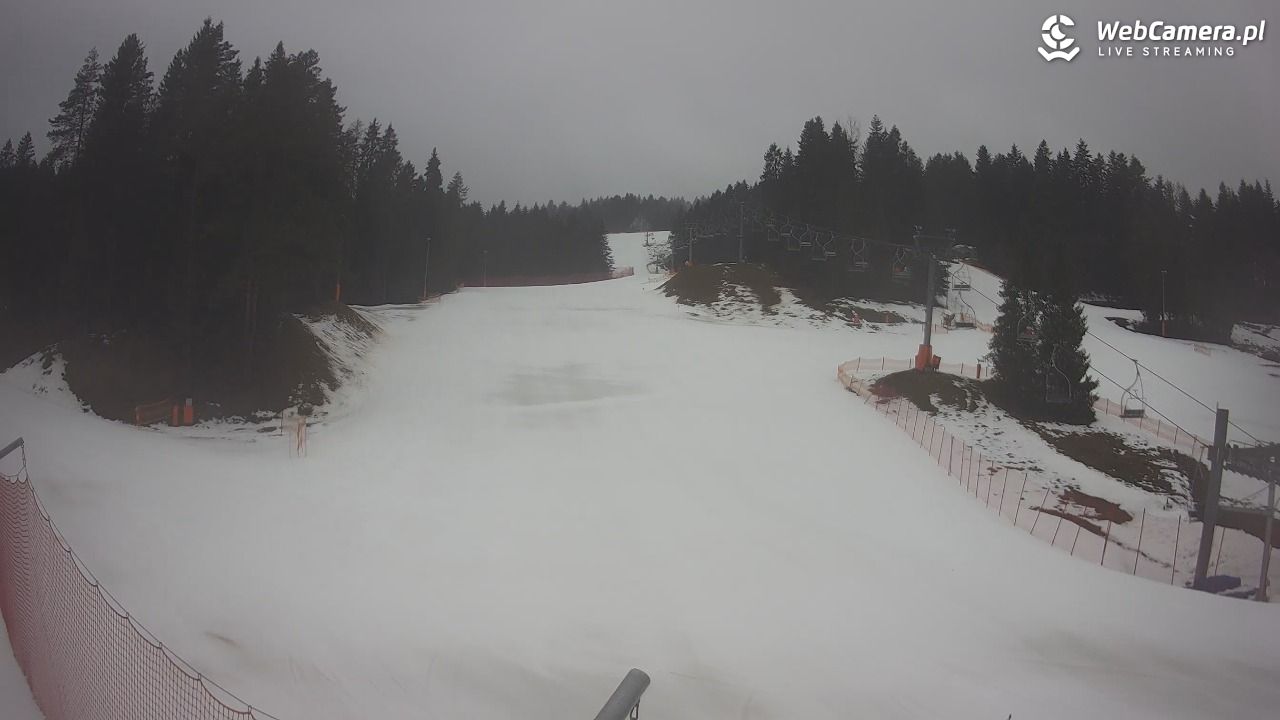 TYLICZ.ski - 24 luty 2026, 10:12