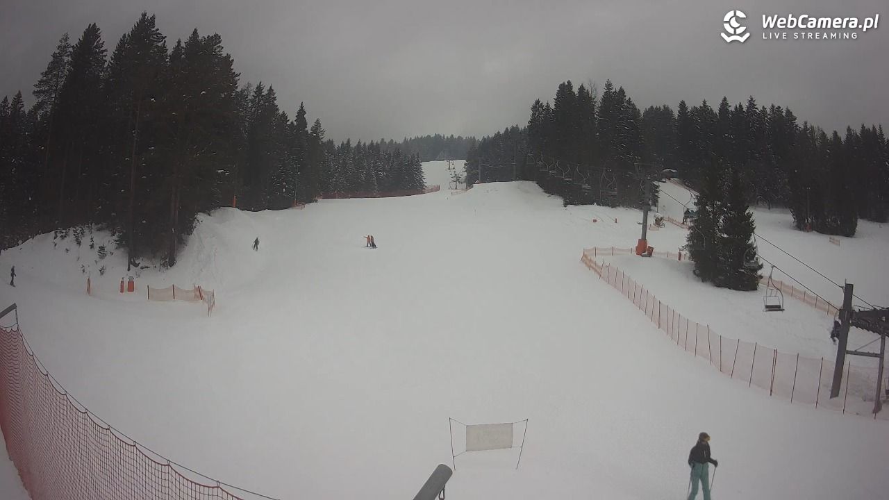 TYLICZ.ski - 24 styczeń 2026, 10:05