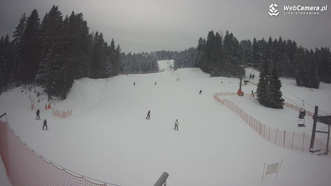 TYLICZ.ski - 10 styczeń 2026, 10:02