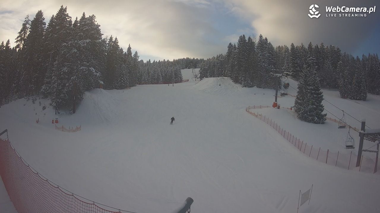 TYLICZ.ski - 12 styczeń 2026, 14:49