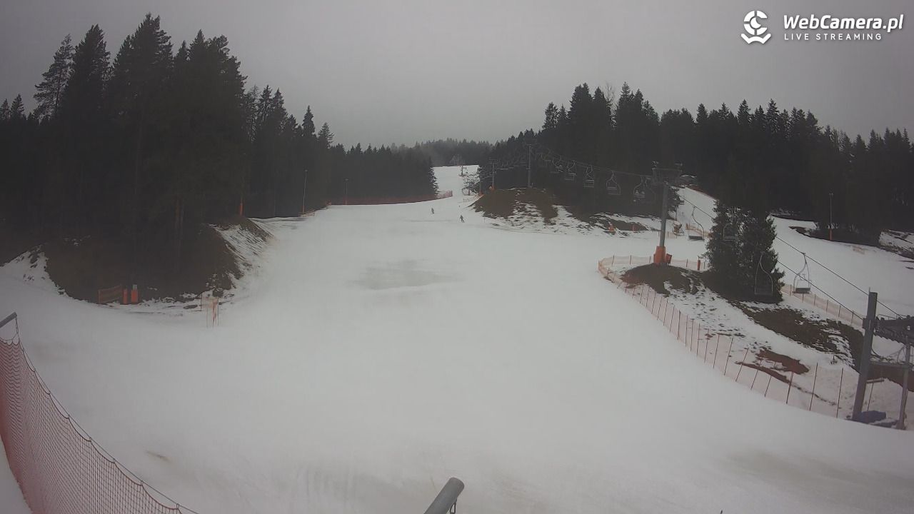 TYLICZ.ski - 24 luty 2026, 10:33