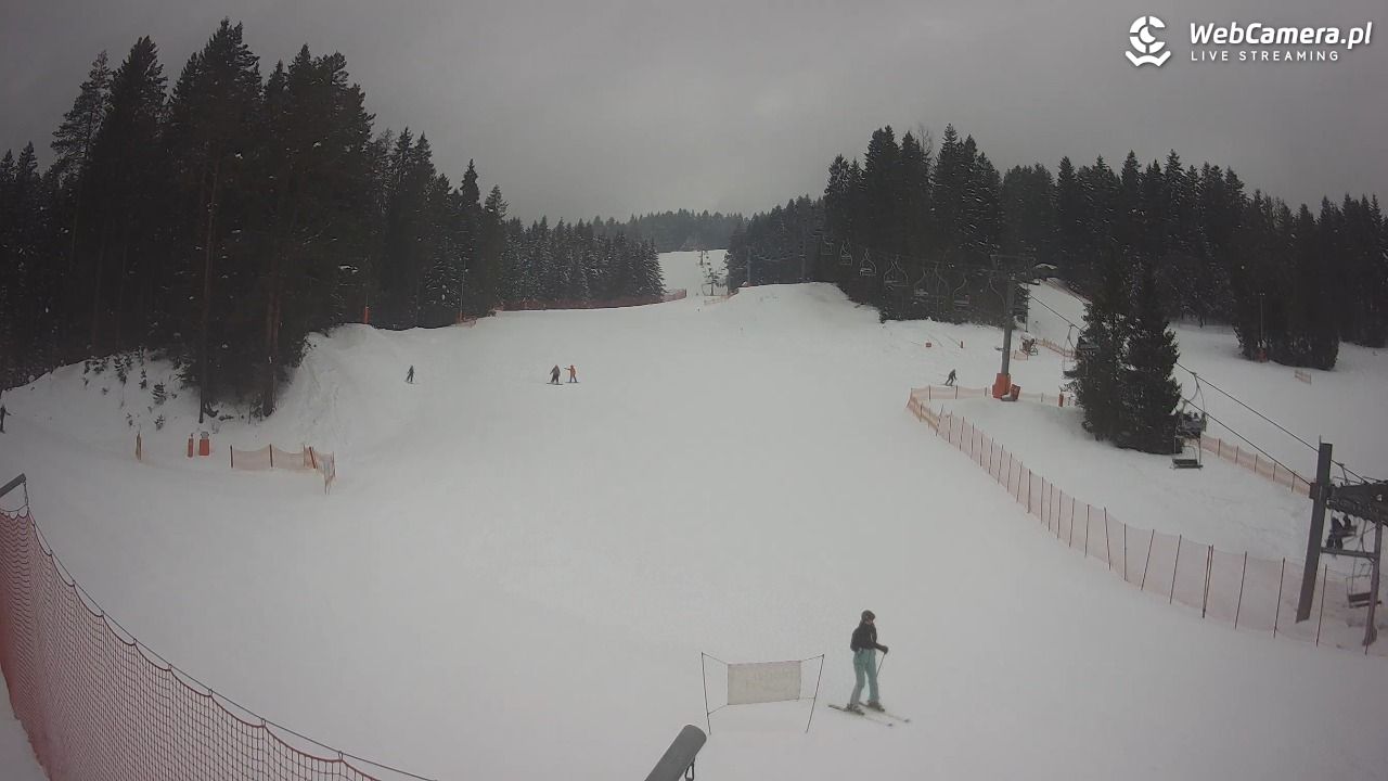 TYLICZ.ski - 24 styczeń 2026, 10:05