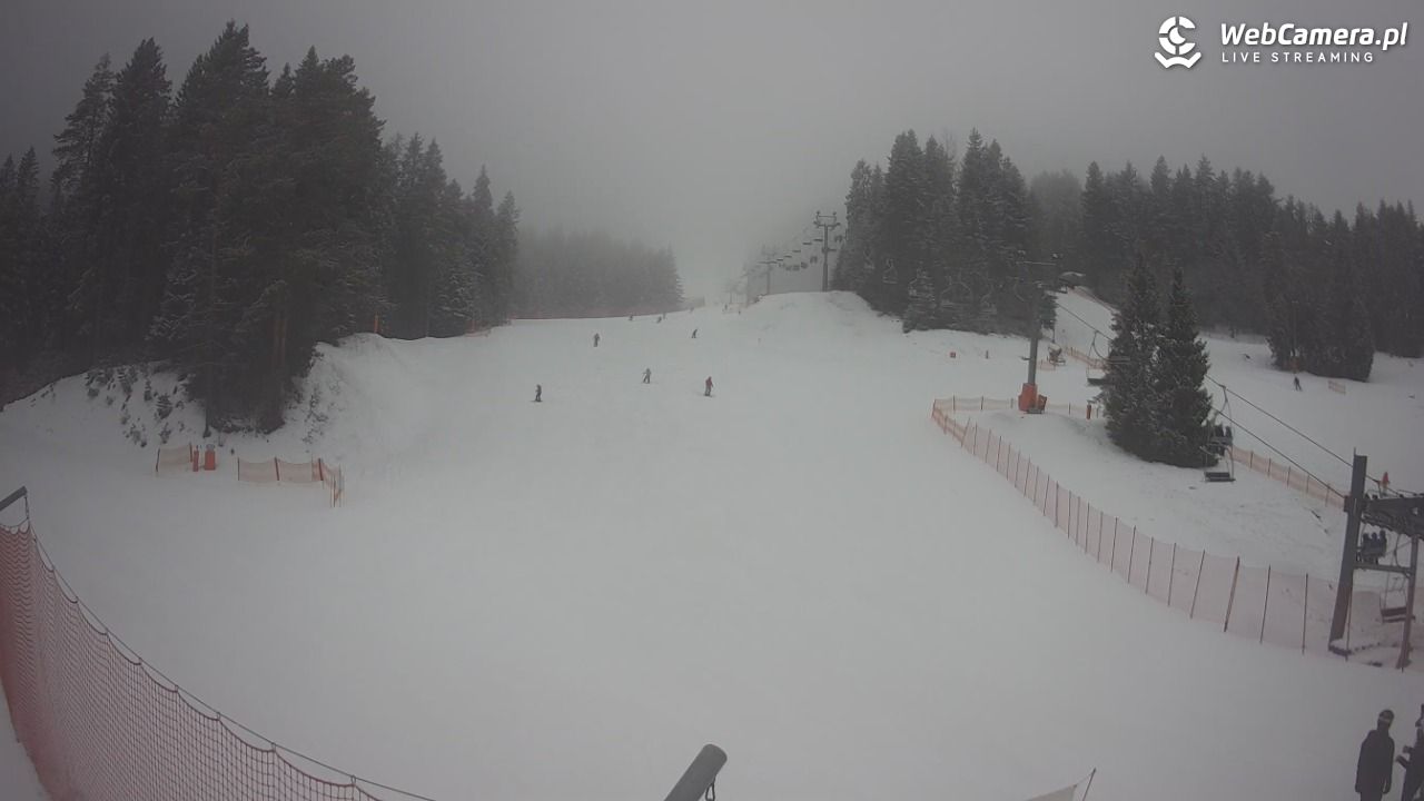 TYLICZ.ski - 29 styczeń 2026, 14:10