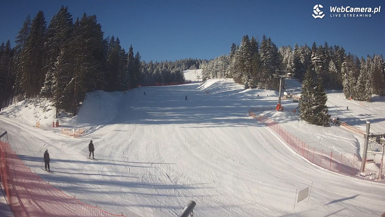 TYLICZ.ski - 09 styczeń 2026, 09:48