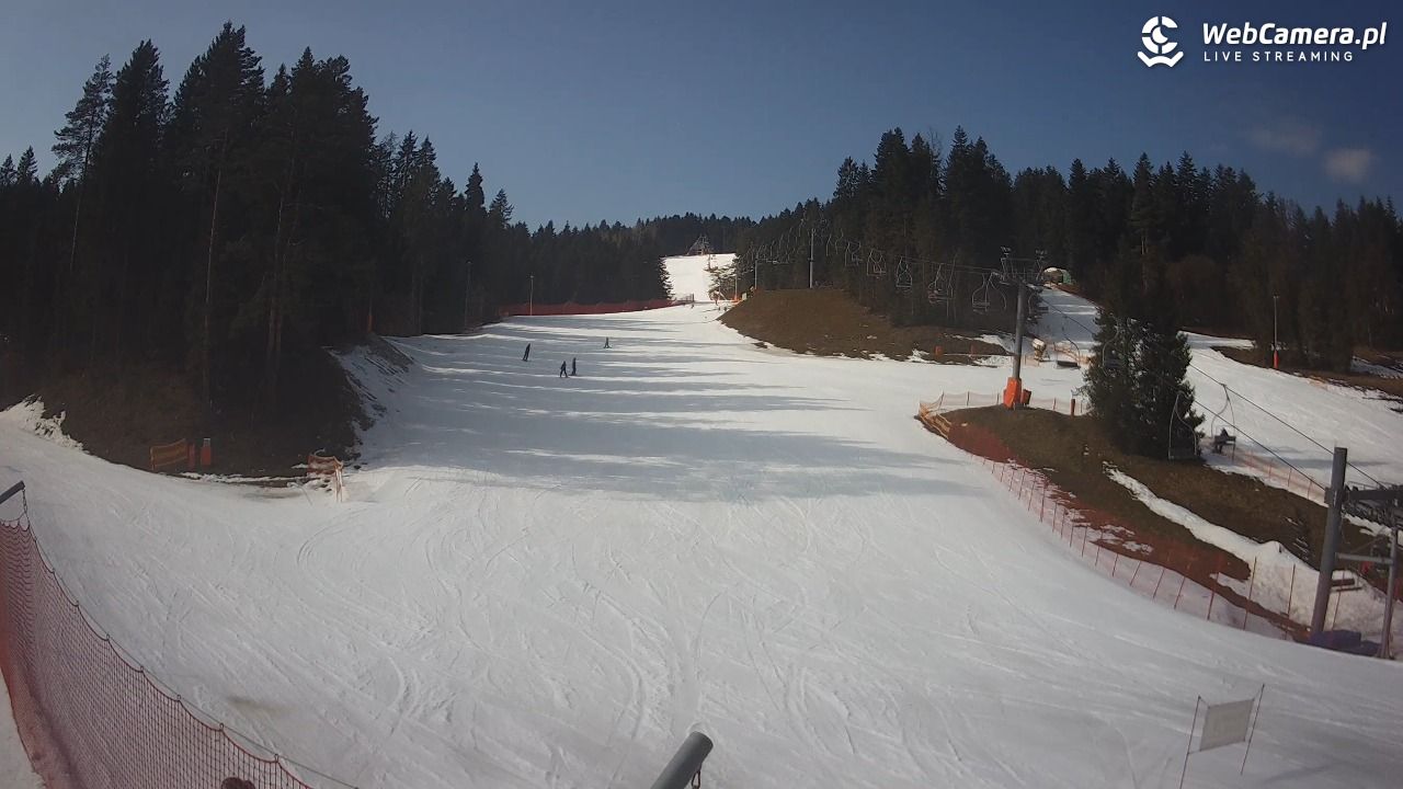 TYLICZ.ski - 01 marzec 2026, 11:18