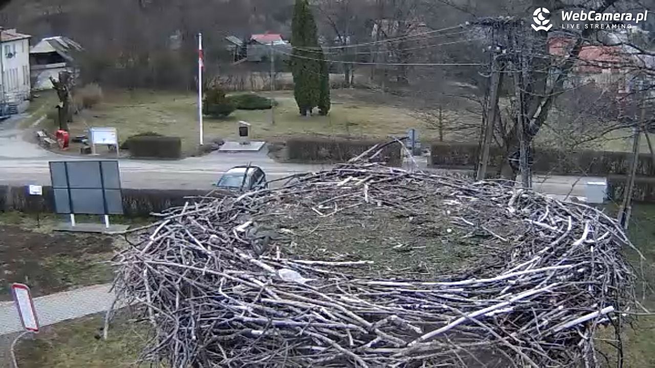 Tyrawa Wołoska - gniazdo bociana - 13 marzec 2025, 16:16