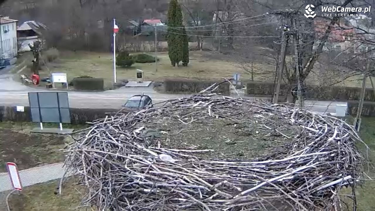 Tyrawa Wołoska - gniazdo bociana - 13 marzec 2025, 16:12