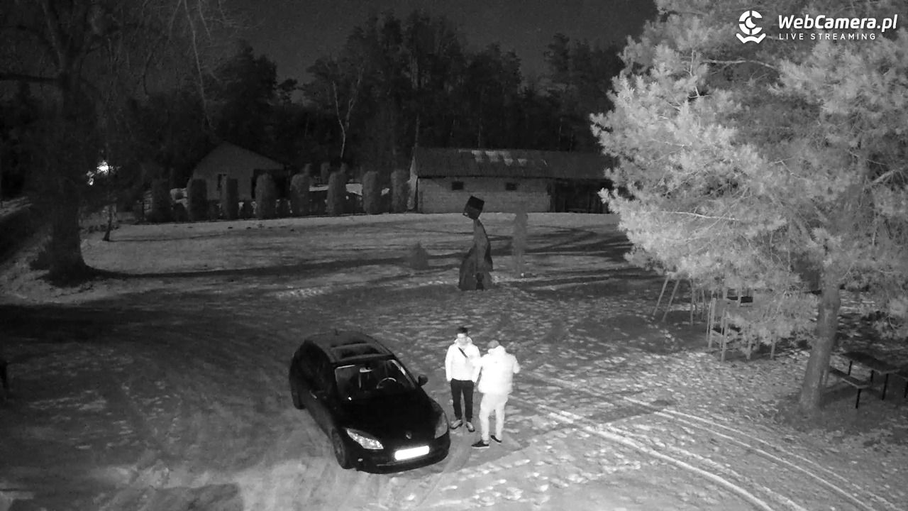 Pomnik UFO w Emilcinie - 01 luty 2026, 04:27