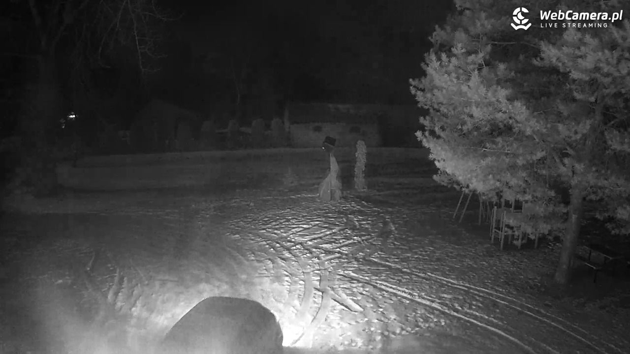 Pomnik UFO w Emilcinie - 01 luty 2026, 04:35