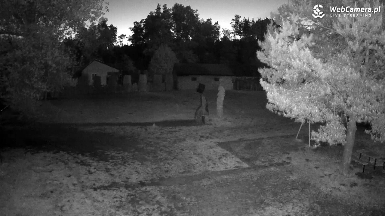Pomnik UFO w Emilcinie - 17 maj 2025, 03:15