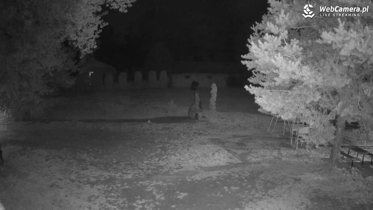 Pomnik UFO w Emilcinie - 31 sierpień 2025, 22:26