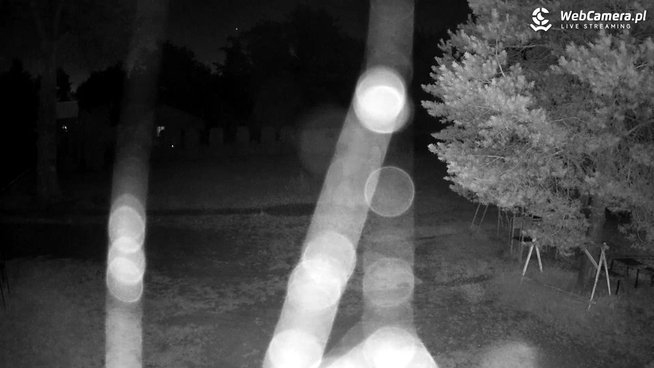 Pomnik UFO w Emilcinie - 25 czerwiec 2026, 01:33