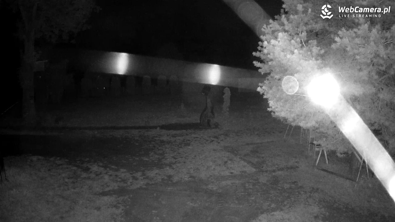 Pomnik UFO w Emilcinie - 12 sierpień 2026, 03:07