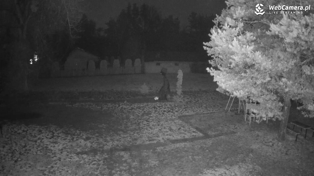 Pomnik UFO w Emilcinie - 10 grudzień 2025, 04:49