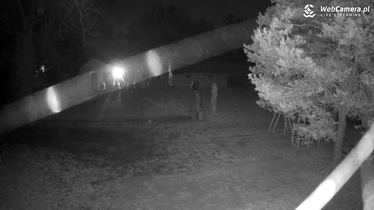 Pomnik UFO w Emilcinie - 18 marzec 2026, 04:17