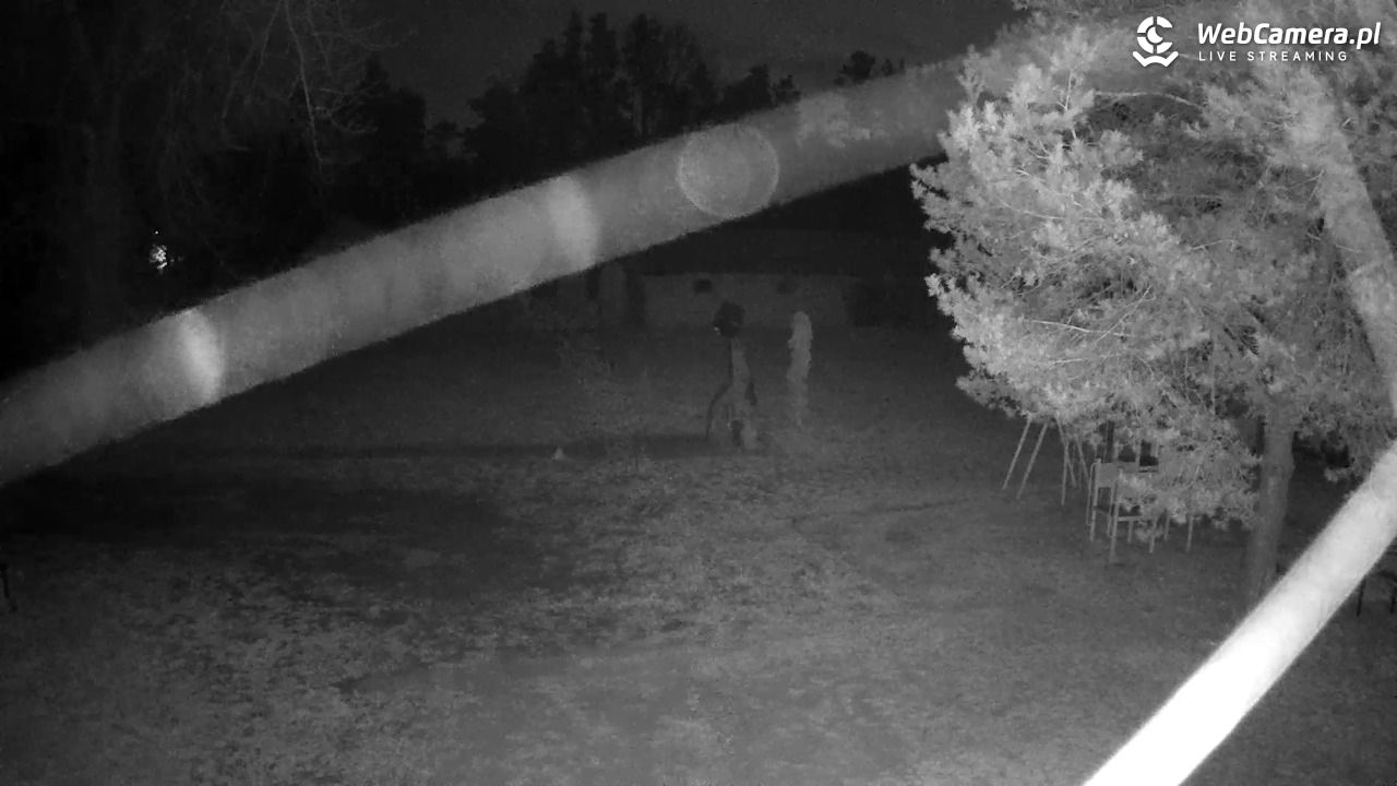 Pomnik UFO w Emilcinie - 20 marzec 2026, 04:24