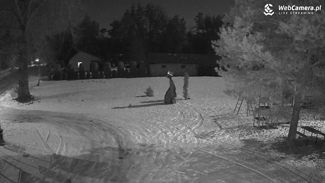 Pomnik UFO w Emilcinie - 01 luty 2026, 19:25