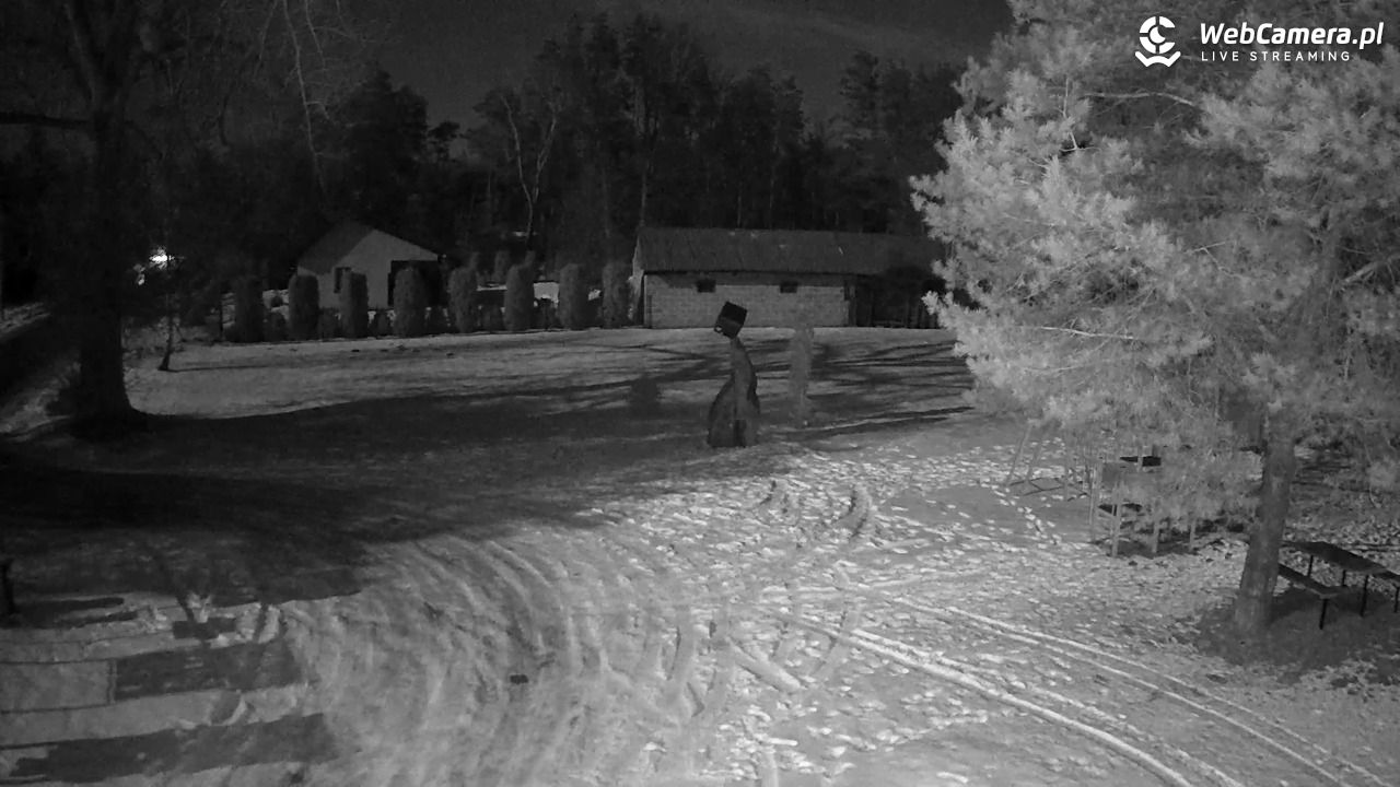 Pomnik UFO w Emilcinie - 02 luty 2026, 04:51