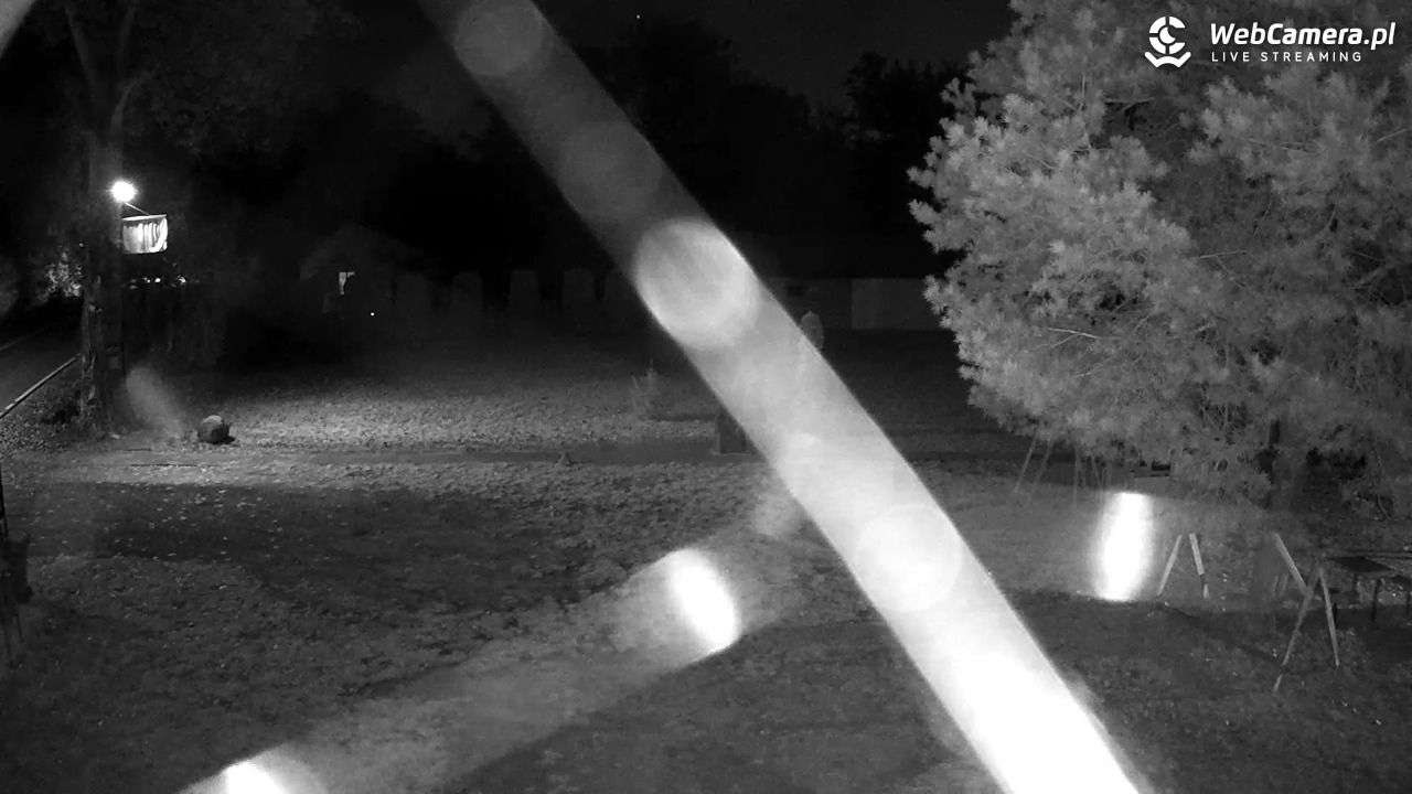 Pomnik UFO w Emilcinie - 29 wresień 2026, 19:55