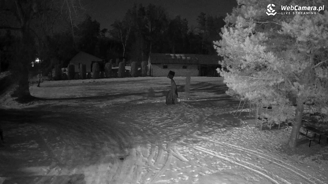 Pomnik UFO w Emilcinie - 01 luty 2026, 04:24