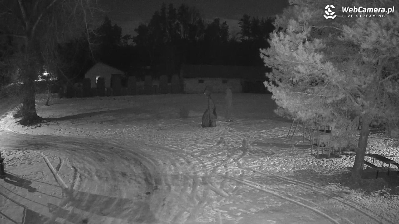 Pomnik UFO w Emilcinie - 03 luty 2026, 20:54