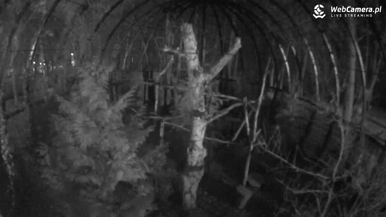 Wejherowo - Bieliki - 24 listopad 2025, 22:49