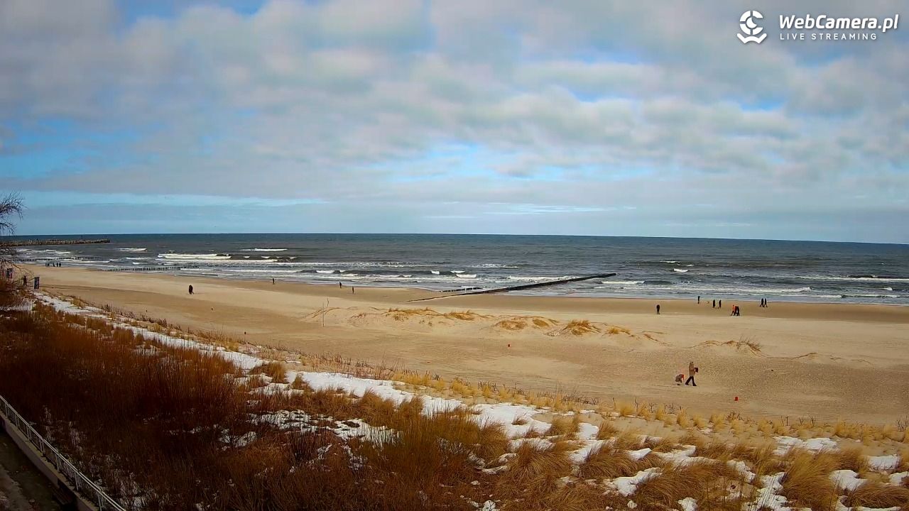 USTKA - widok na plażę - 01 marzec 2026, 10:59