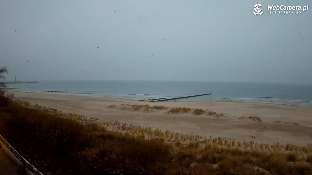 USTKA - widok na plażę - 29 listopad 2025, 07:29