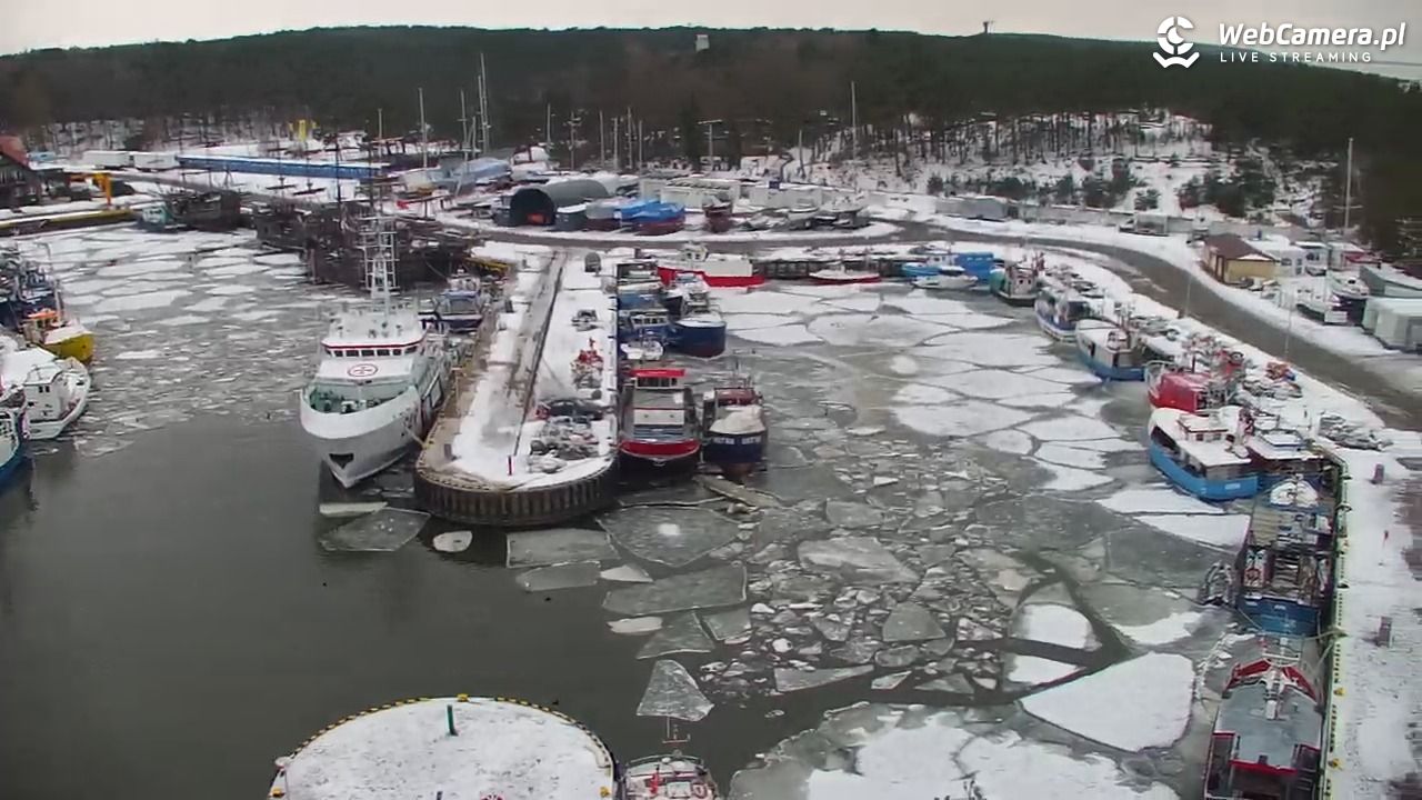 USTKA - widok z pylonu na plażę - 08 luty 2026, 16:36