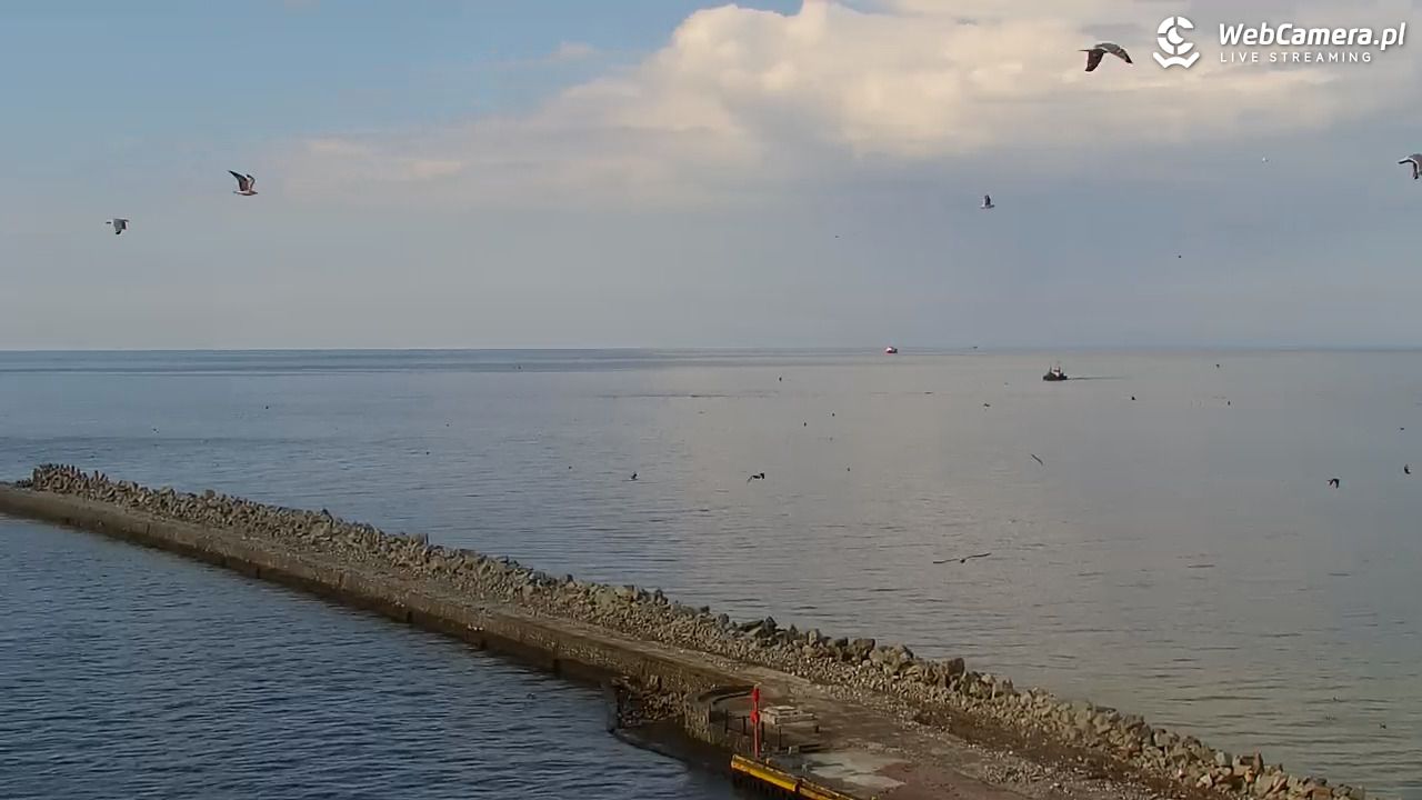 USTKA - widok z pylonu na plażę - 01 sierpień 2025, 16:43