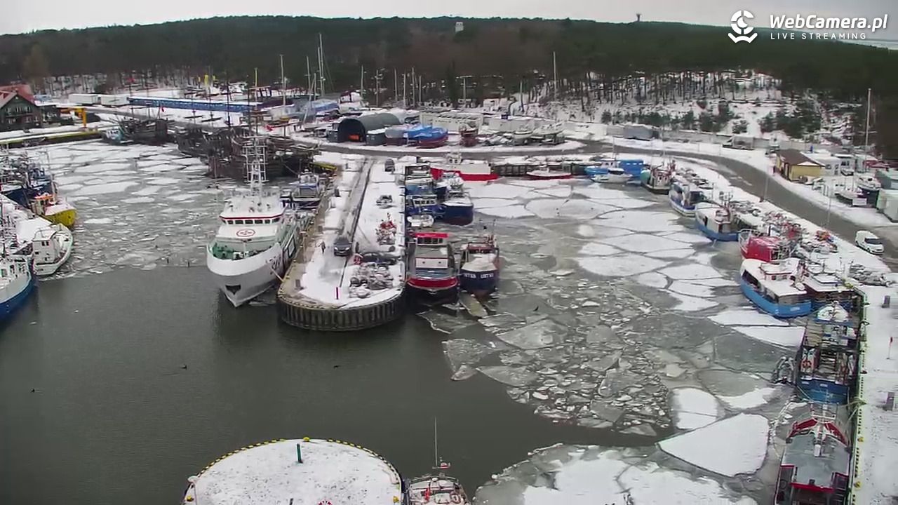 USTKA - widok z pylonu na plażę - 08 luty 2026, 14:24