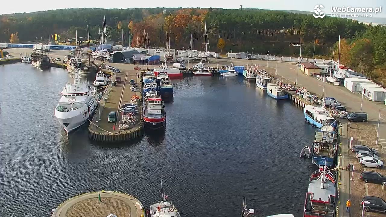 USTKA - widok z pylonu na plażę - 05 listopad 2025, 11:05