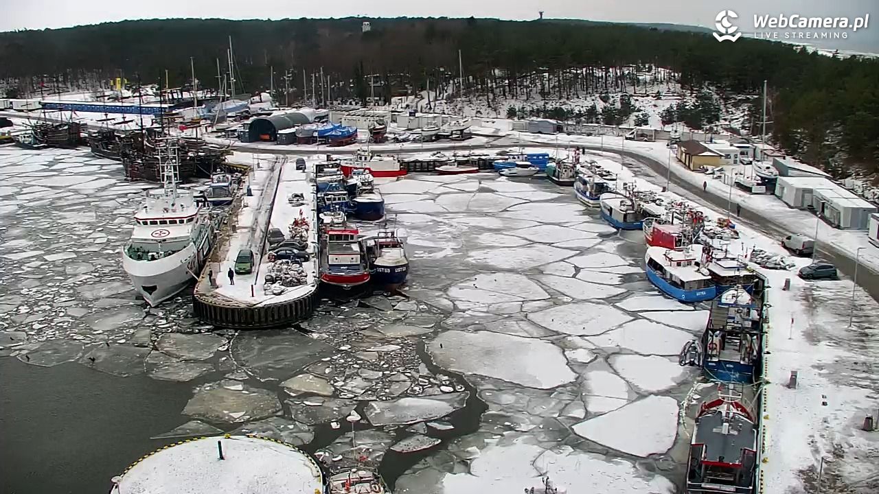 USTKA - widok z pylonu na plażę - 08 luty 2026, 10:39