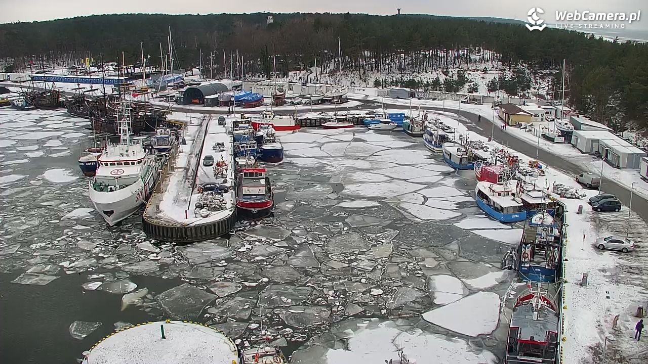 USTKA - widok z pylonu na plażę - 08 luty 2026, 12:21