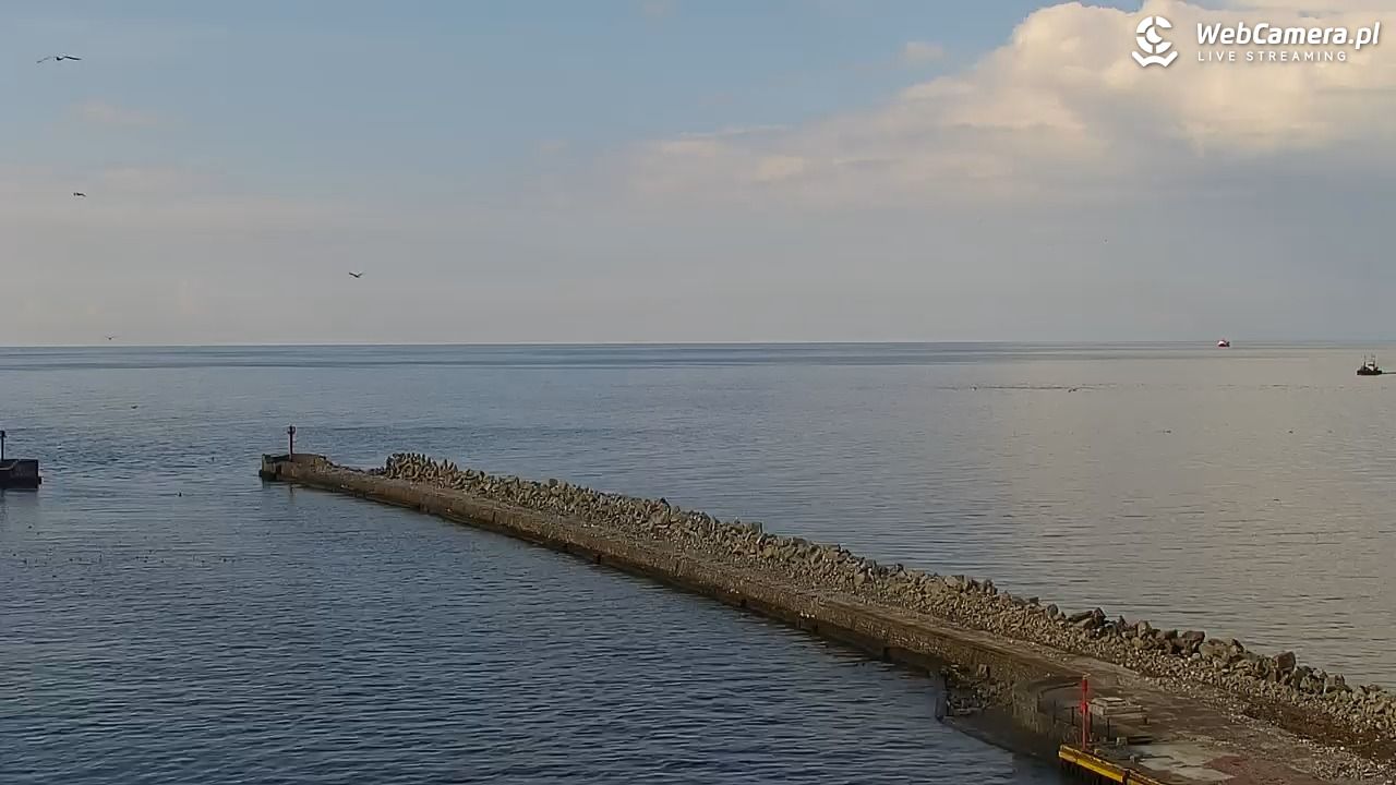USTKA - widok z pylonu na plażę - 01 sierpień 2025, 16:43