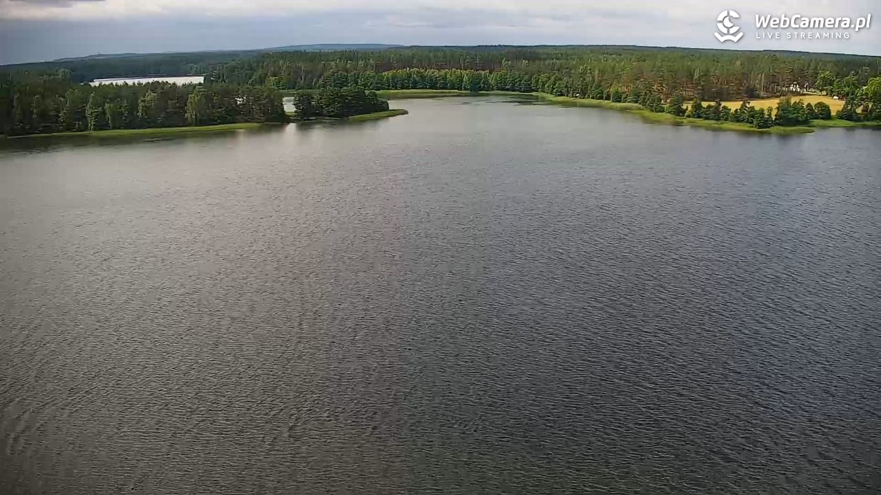 Jezioro Wdzydze - Bory Tucholskie - 29 czerwiec 2025, 10:40