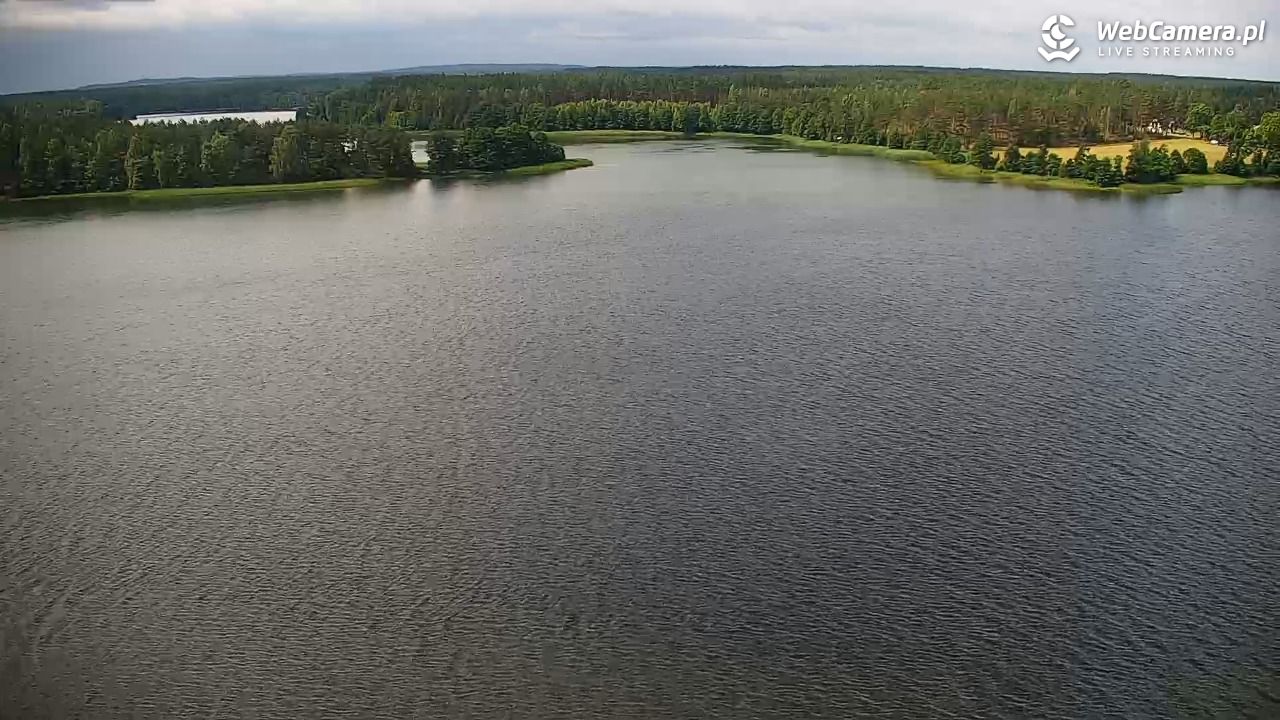 Jezioro Wdzydze - Bory Tucholskie - 29 czerwiec 2025, 10:40