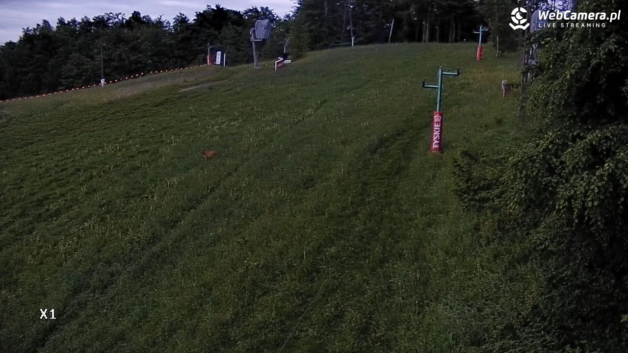 WIEŻYCA - ski Koszałkowo - 07 czerwiec 2025, 21:31