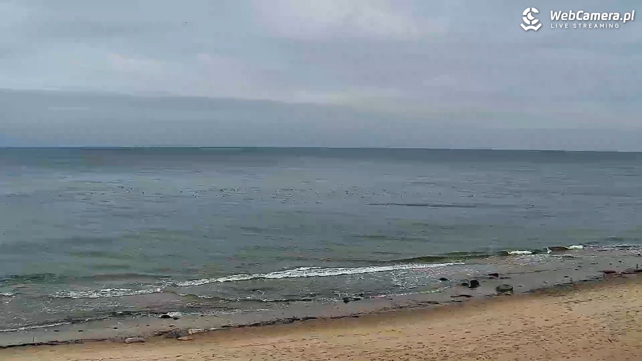 Chłapowo - widok na plażę NOWOŚĆ - 28 listopad 2025, 14:24