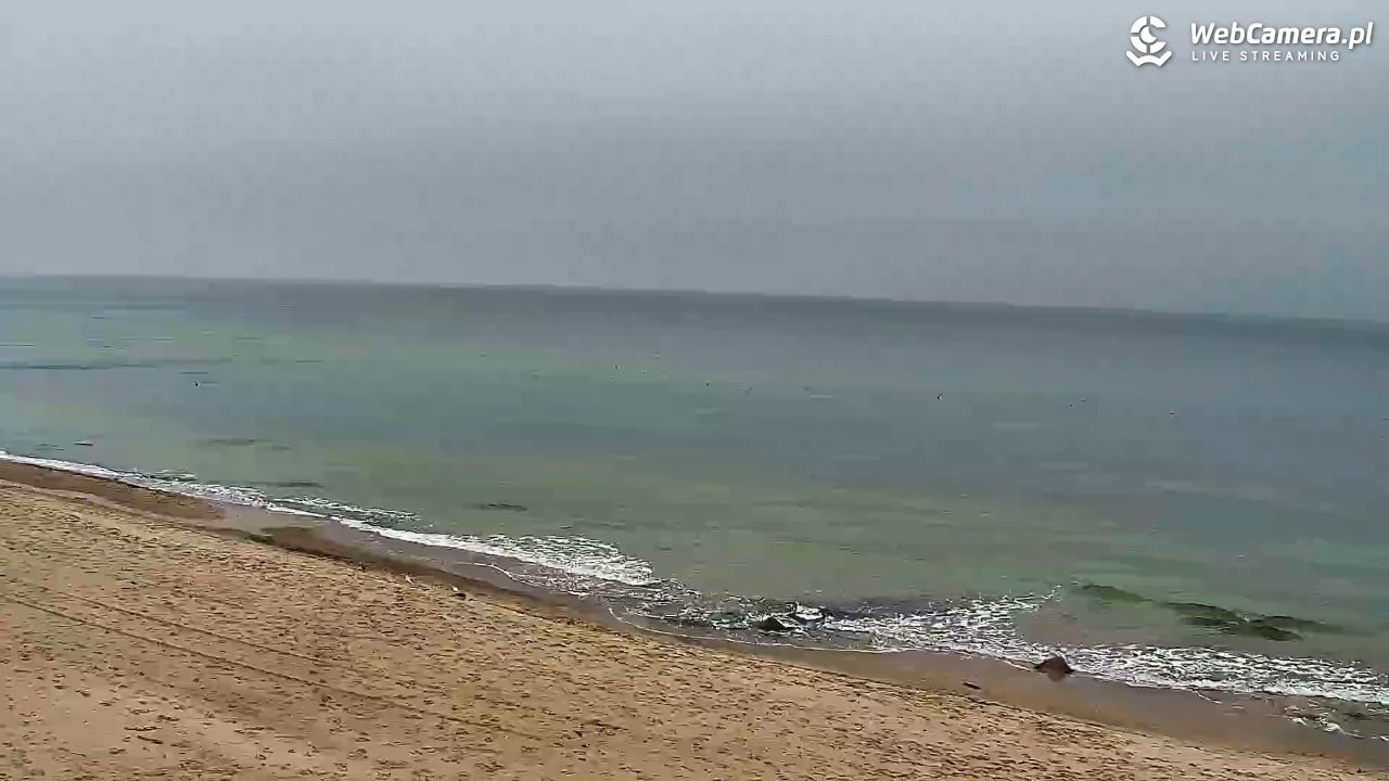 Chłapowo - widok na plażę NOWOŚĆ - 29 listopad 2025, 12:54