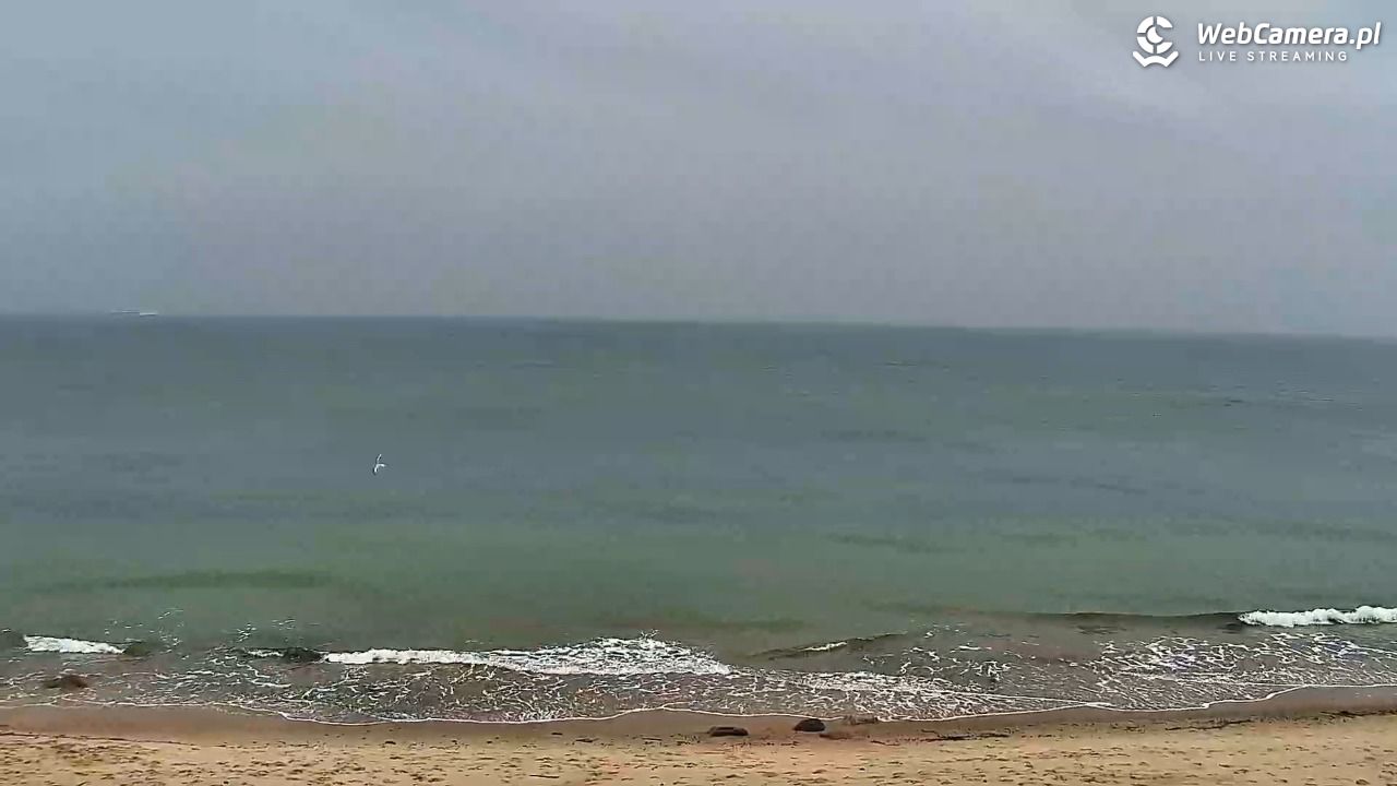 Chłapowo - widok na plażę NOWOŚĆ - 29 listopad 2025, 10:36