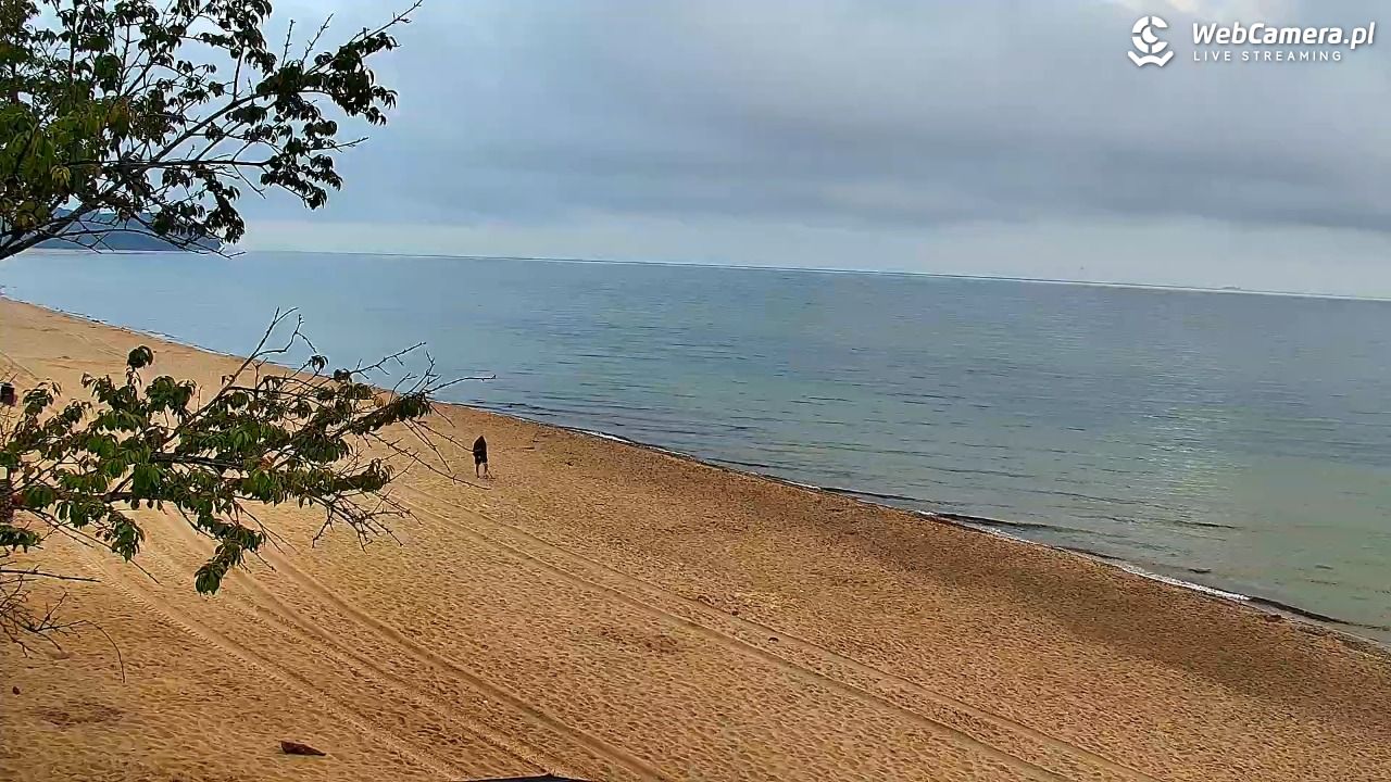 Chłapowo - widok na plażę NOWOŚĆ - 06 sierpień 2026, 06:58