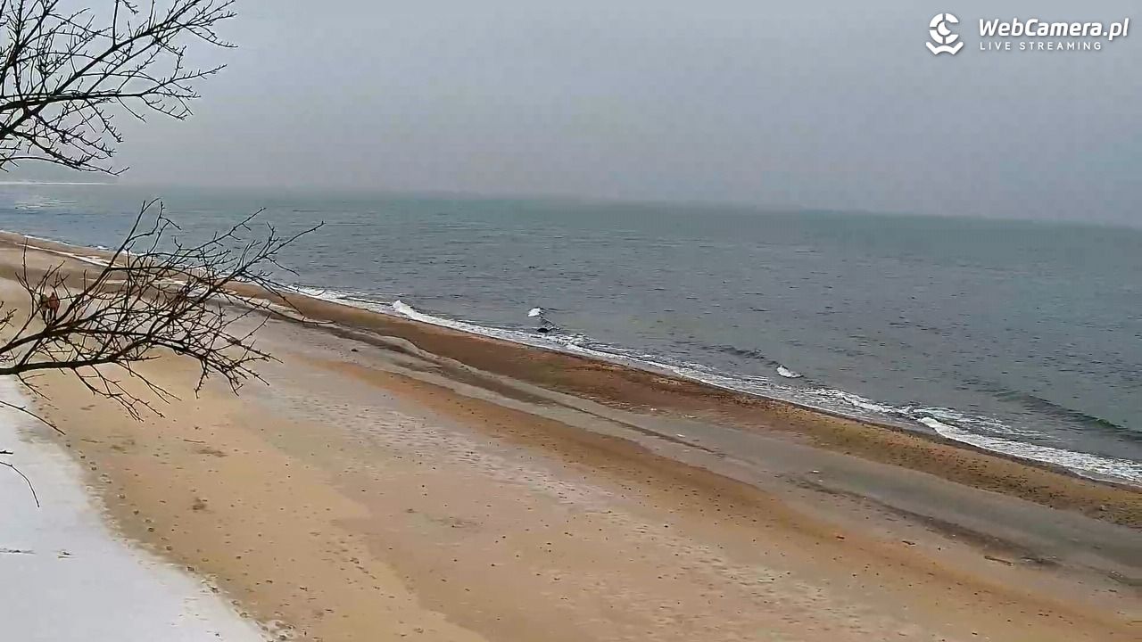 Chłapowo - widok na plażę NOWOŚĆ - 17 styczeń 2026, 10:23