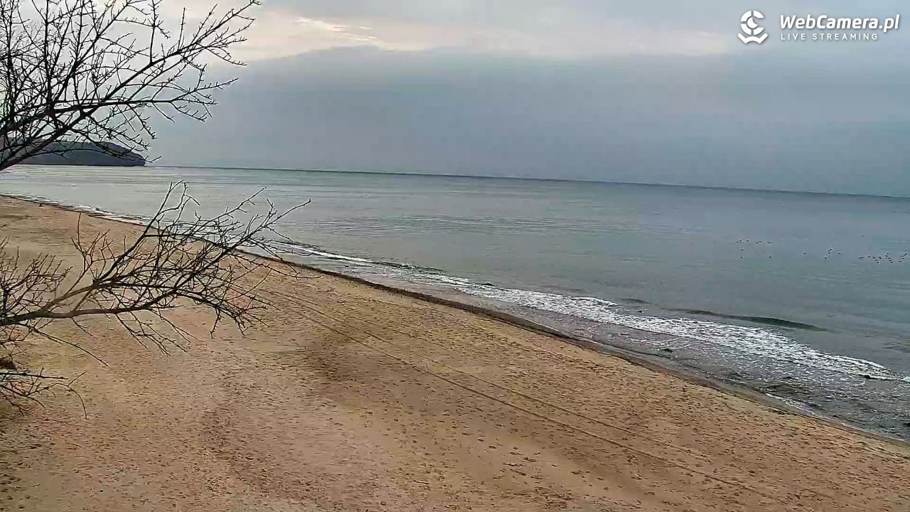 Chłapowo - widok na plażę NOWOŚĆ - 28 listopad 2025, 15:03